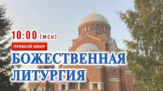 Трансляция: Божественная литургия. 8 ноября 2020.