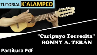 "Caripuyo Torrecita" Bonny A. Terán/ Tutorial Charango (Temple diablo Em) PARTITURA Pdf