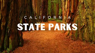 The 12 Most Beautiful State Parks in California