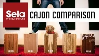 Sela Cajon Comparison