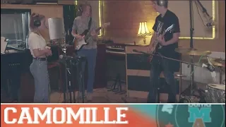 Camomille - Cold December Night
