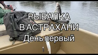 Рыбалка в Астрахани, рыбалка 2023, день первый, поймали и приготовили, простые рецепты на природе.