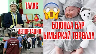 😱😰 Боюнда бар ымыркай төрөлдү, Депортация күчөдү, Тажикстан Өзбекстан чек арасына адамдар топтолду.