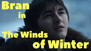 Bran in The Winds of Winter - livestream