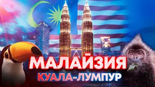 Малайзия | Интересные факты | Что посмотреть? Стоит ли лететь?