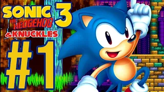 Fazendo a Play 😎🎮 - Sonic 3 & Knuckles #1