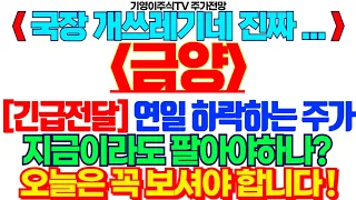 금양 주가전망] 국장 개쓰레기네 진짜... [긴급전달] 연일 하락하는 주가 지금이라도 팔아야하나? 오늘은 꼭 보셔야 합니다 ! feat.기영이주식TV #금양