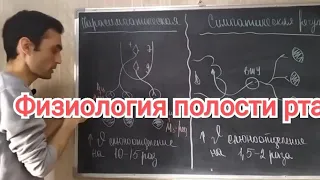 Физиология. Пищеварение в полости рта.