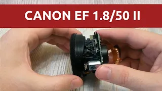 CANON EF 50 1.8 II не фокусируется, и это нормально