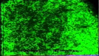 MYOGENIC DIFFERENTIATION OF KUSA CELLS