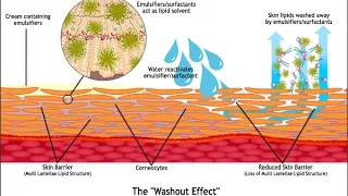 Why say no to emulsifiers?