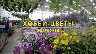 249#204 / Хобби Цветы / 10.2020 — Флоревиль. ЧАСТЬ 1