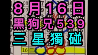 8/16黑狗兄539 三星獨碰(記得訂閱黑狗兄🐺）