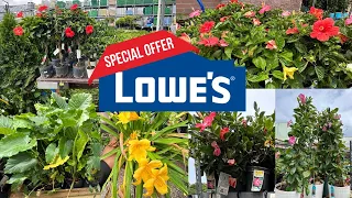 🔴 Lowe's Garden Center Half Price Sale RUN NOW! #Lowesplants #Gardening