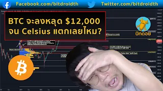 BTC จะลงหลุด $12,000 จน Celsius แตกเลยไหม?