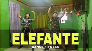 NK - ELEFANTE | [ DJ Konstantin Ozeroff & DJ Sky Remix ] | Dance Fitness | OC DUO