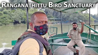 Ranganathittu Bird Sanctuary Srirangapatna Tourism Mandya Tourism Mysore Tourism Karnataka Tourism