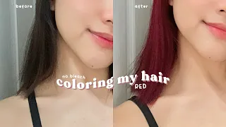 dyeing my hair RED without bleach 🌹| bremod