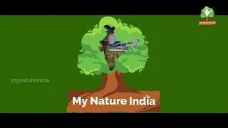 My Nature India - Join hands to build a plastic free India | Culture | Jobs