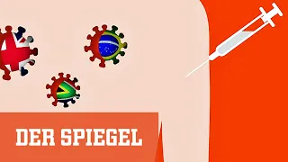 Nebenwirkungen, Mutanten, AstraZeneca: Die wichtigsten Antworten zur Corona-Impfung | DER SPIEGEL