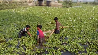 Cast Net Fishing at sea with beautiful natural | Sea Fishing by #Daily Village Life