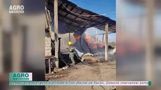 Depozit cu nutreț pentru animale, mistuit de flăcări – AGRO TV News