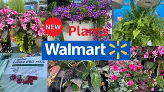 Walmart | Walmart Garden Center | Browse With Me