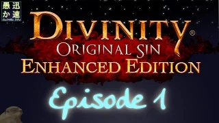 Friendly Fire Activated || Divinity Original Sin: Enhanced Edition Part 1