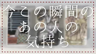 今この瞬間のあの人の気持ち😣😢🤍【タロット・オラクル・恋愛・占い】