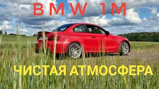 BMW 1M, V8 и земляника: что в этом списке лишнее?