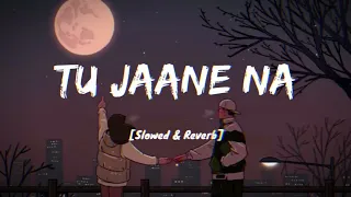 Tu Jaane Na [Slowed+Reverb] - Atif Aslam | Aesthetic Me