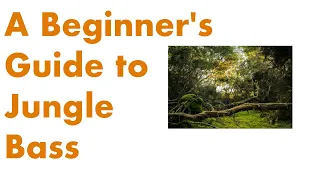 A Beginner's Guide to Jungle Bass