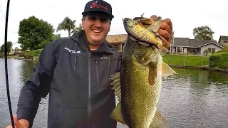 Big Swimbaits, when, where and why!