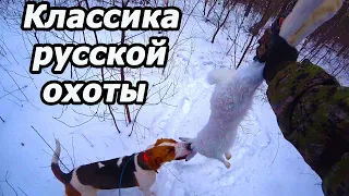 ОХОТА НА ЗАЙЦА С ГОНЧЕЙ/ СПАСИБО ЗА ОХОТУ, ЛИКА!