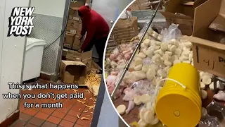 Chicago Popeyes employee seen destroying restaurant after allegedly not getting paid for a month