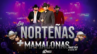 Las Norteñas Más Mamalonas del 2020 (Mix) By Dj Alfred | Con Ese Corazón, Acurrucar, Tu, Basta...