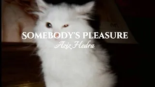 Aziz hedra - somebody's pleasure ( Lyrics)