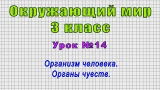 Окружающий мир 3 класс (Урок№14 - Организм человека. Органы чувств.)