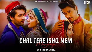 Chal Tere Ishq Mein Mashup | SiDD iNSANEZ | Gadar 2 | Best Of Arijit Singh 2023 | @VdjSoulKaran