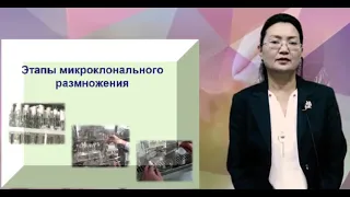 Комекова Г.К. Этапы микроклонального размножения растений