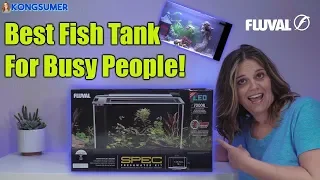Best Silent Fish Tank for Busy People! Fluval Spec V Review Close Up in 4K!