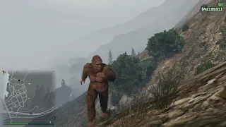 🕷🌟 GTA 5 Online Memories Play as a Bigfoot Sasquatch 📌 Peyote Plant Location Foggy Weather & Time ⌚