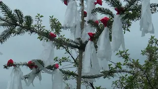 1. Весілля ❤ Середній Майдан ❤ Ранок ❤ Наречений -   Seredniy Maydan ❤ Wedding ❤ Morning ❤ Groom.