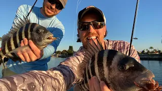 How To Catch Sheepshead On Fake Crabs (LIVE Video)