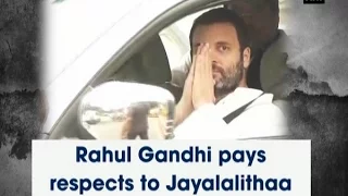 Rahul Gandhi pays respects to Jayalalithaa - ANI News