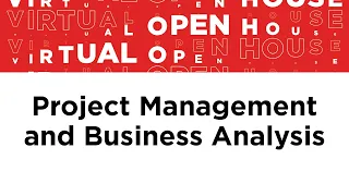 Project Management and Business Analysis