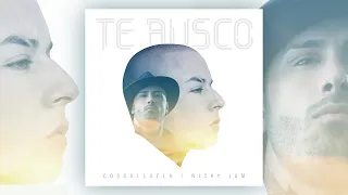 Cosculluela, Nicky Jam - Te Busco (Audio Oficial) [2016]