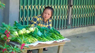The process of gardening to grow vegetables, Harvesting garden vegetables to sell at the market