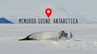 McMurdo Sound, Antarctica 4K