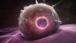 Beginnings of a Human Cell